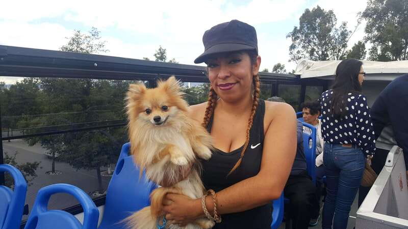 Puebla: Hop-On Hop-Off Bus Tour with Audio Guide - The return through El Parián and the Barrio del Artista