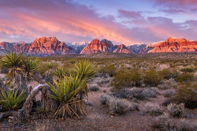 Red Rock Canyon Self-Guided Driving Audio Tour - Five useful things to know before you go