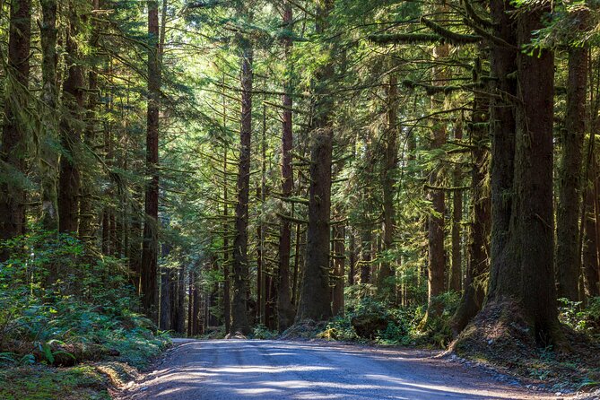 Redwood National and State Parks Self-Guided Audio Driving Tour - Bald Hills Road and Lady Bird Johnson Grove