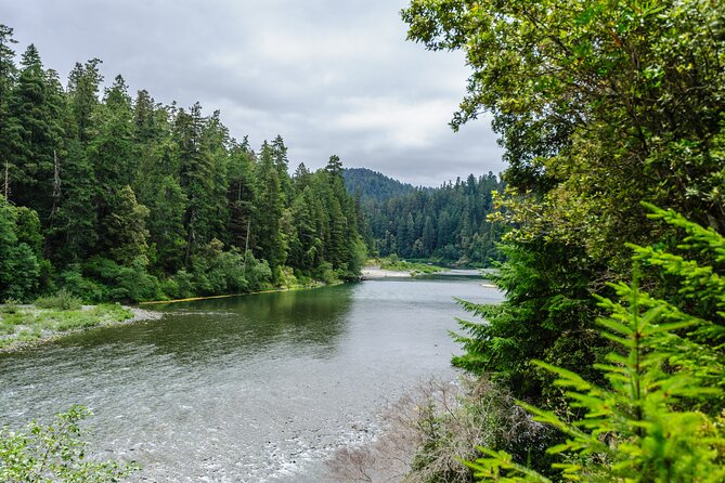 Redwood National and State Parks Self-Guided Audio Driving Tour - Crescent Beach and the north coast