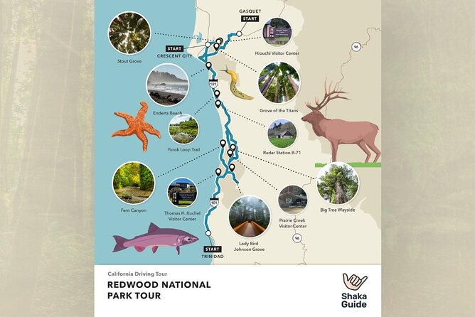 Redwood National Park Self-Guided Audio Tour - Klamath River views, Yurok culture, and wartime history