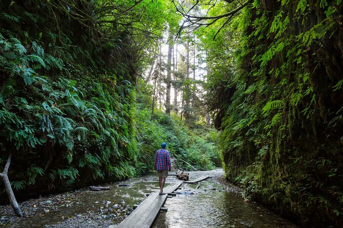 Redwood National Park Self-Guided Audio Tour - Elk, Gold Bluffs Beach, and Fern Canyon