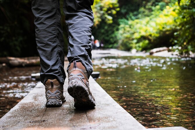 Redwood National Park Self-Guided Audio Tour - Lady Bird Johnson Grove and the final coast