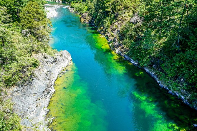 Redwood National Park Self-Guided Audio Tour - Price, timing, and practical value