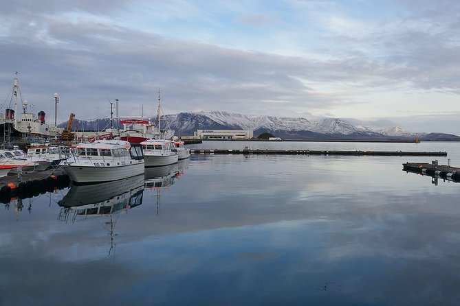 Reykjavik Main Sights and Hidden Spots: A Self-Guided Audio Walk - A gentle introduction to central Reykjavík