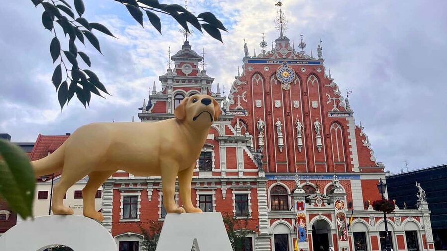 Riga: Canal Boat Tour with Drink & Old Town Audio Tour - The welcome drink and the small-boat atmosphere