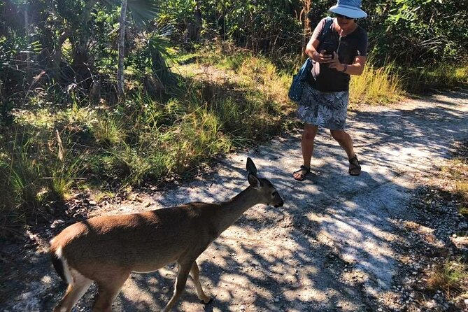 Road Trip through the Lower Keys Audio Tour - Ramrod Key: another local swimming hole
