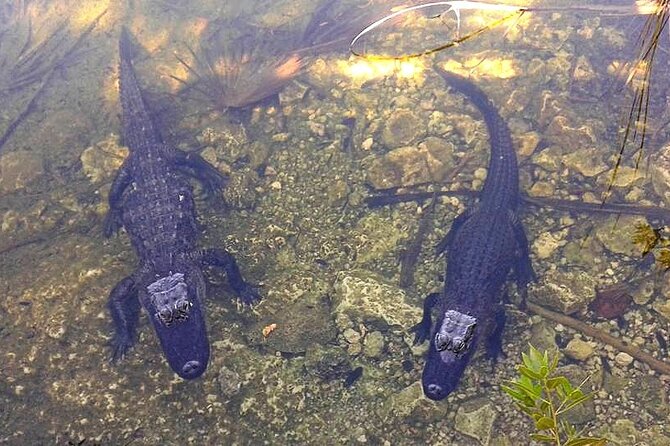 Road Trip through the Lower Keys Audio Tour - How much narration should you expect?