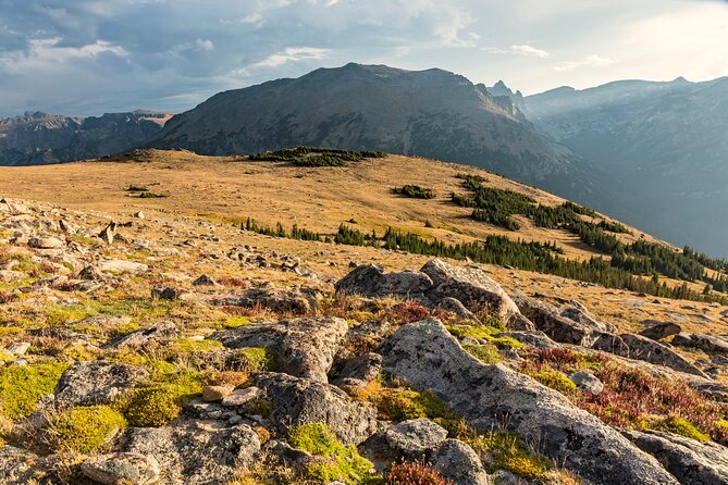 Rocky Mountain National Park Self-Guided Audio Tour - Meadows, wetlands, and wildlife stops slow the drive down