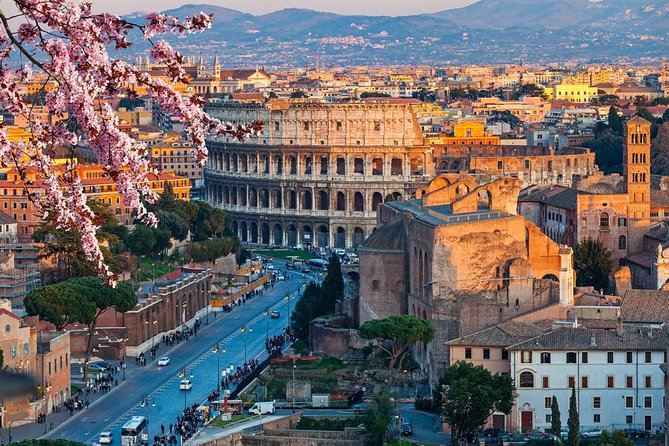 Rome: Colosseum, Forum & Palatine with Arena Access + Audio Guide - Who should choose this Colosseum experience?