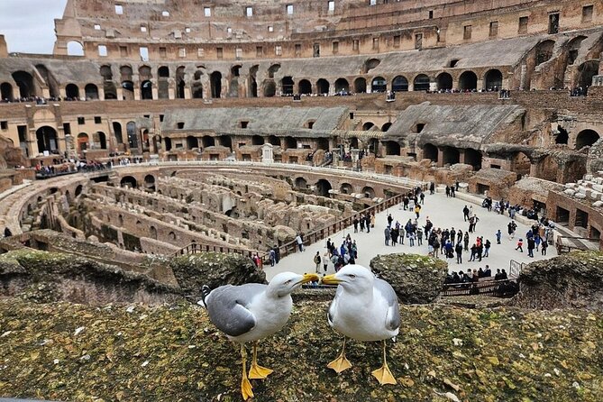 Rome: Colosseum, Roman Forum & Palatine Hill Visit + Audio Guide - How much value do you get for $21.69?