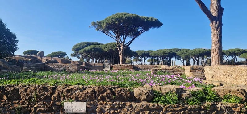 Rome:Ostia Antica Skip-the-line Ticket & Audioguide - The theater shows Ostia’s public side