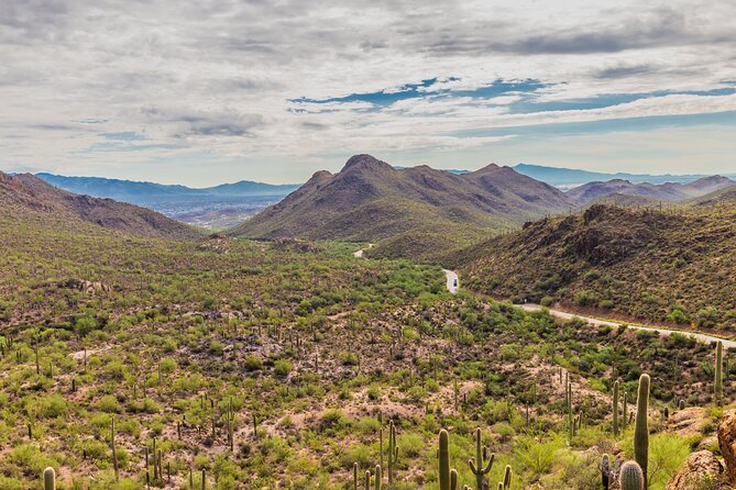 Saguaro National Park Self-Guided Audio Tour - Red Hills Visitor Center explains the west district