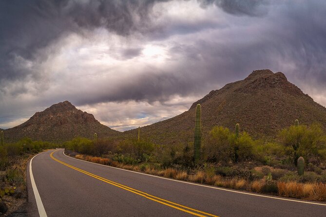Saguaro National Park Self-Guided Driving Audio Tour - Brown Mountain, King Canyon, and the western trails