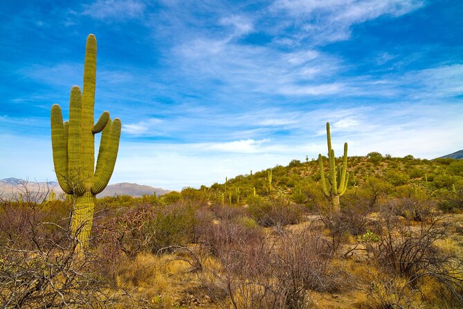 Saguaro National Park Self-Guided Driving Audio Tour - Getting the app ready before Tucson