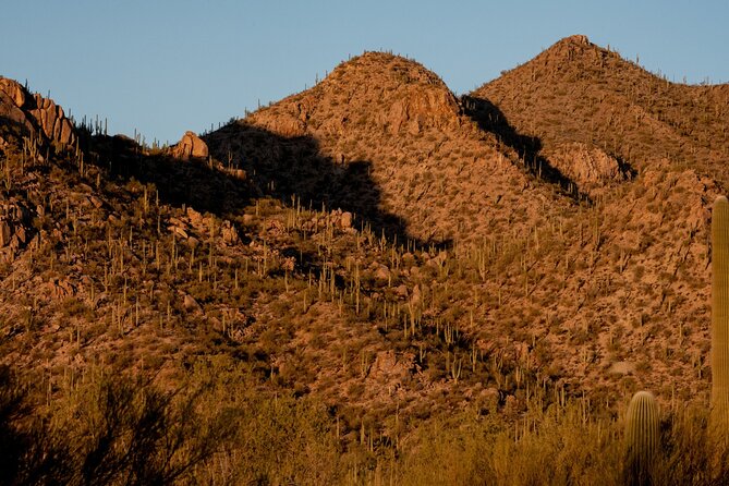 Saguaro NP and Mt. Lemmon Self Guided Driving Audio Tour Bundle - West Saguaro National Park mixes cactus and local history