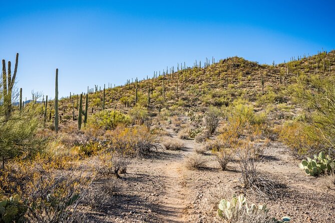 Saguaro NP and Mt. Lemmon Self Guided Driving Audio Tour Bundle - The audio app is useful, but prepare it carefully