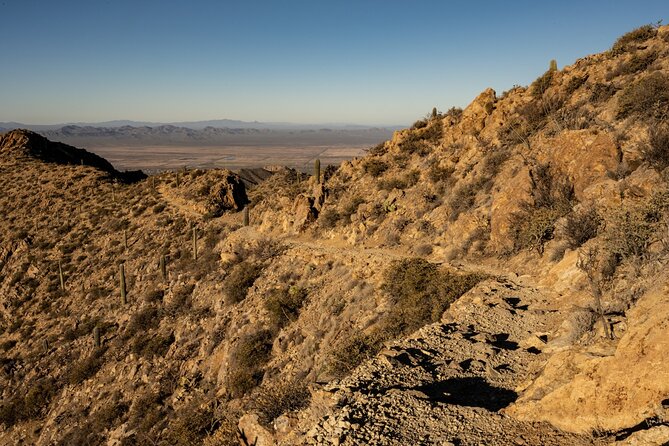 Saguaro NP and Mt. Lemmon Self Guided Driving Audio Tour Bundle - Who gets the best value from this tour?