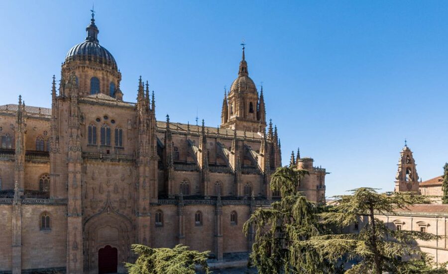 Salamanca: Cathedral of Salamanca Ticket with Audio Guide - Finding the Old Cathedral’s smaller scale