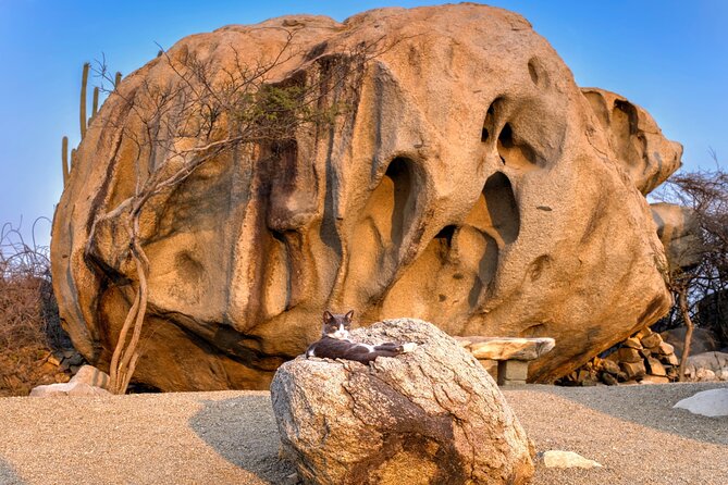 Scenic Aruba Self-Guided Driving and Walking Audio Tour - Casibari Rock Formations and Ayo Rock Formations