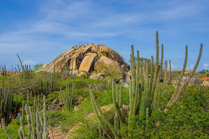 Scenic Aruba Self-Guided Driving and Walking Audio Tour - Donkey Sanctuary Aruba
