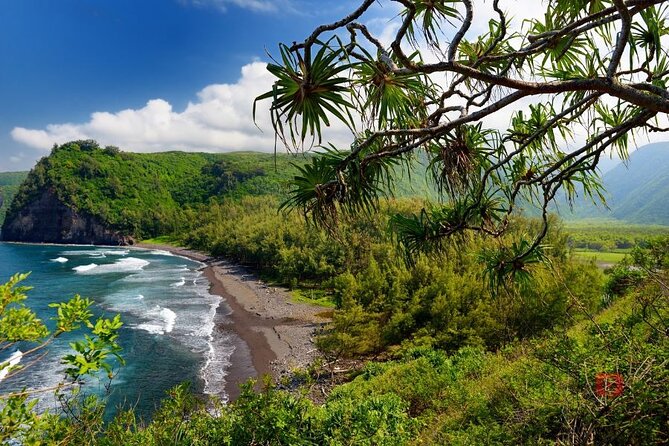 Self-Guided Audio Driving Tour in Big Island - Hawi, Pololu Valley, and Waipio Valley
