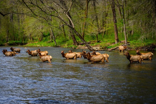 Self-Guided Audio Driving Tour in Blue Ridge Parkway - James River, Explore Park, and Natural Bridge