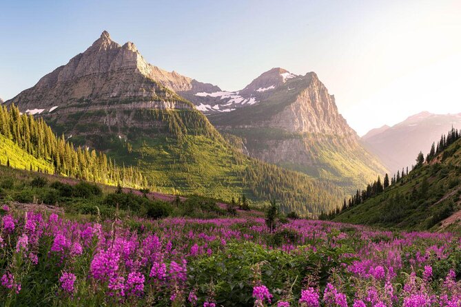 Self-Guided Audio Driving Tour in Glacier National Park - Key points to know before you go