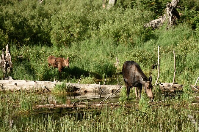 Self-Guided Audio Driving Tour in Grand Teton National Park - J.P. Cunningham Cabin and Menor’s Ferry