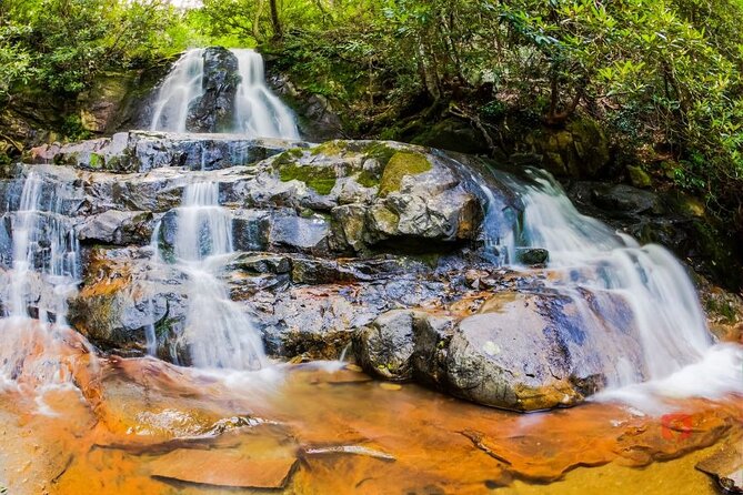 Self-Guided Audio Driving Tour in Great Smoky Mountains - Roaring Fork and Grotto Falls: forest, cabins, and water