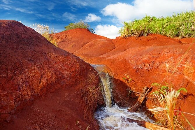 Self-Guided Audio Driving Tour in Kauai - Lihue, Wailua Falls, and the Tree Tunnel