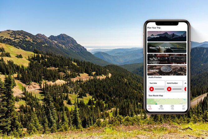 Self-Guided Audio Driving Tour in Olympic National Park - Port Angeles and Hurricane Ridge: the best mountain start