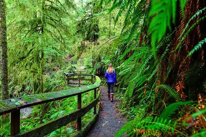Self-Guided Audio Driving Tour in Olympic National Park - Elwha Valley and Madison Creek Falls