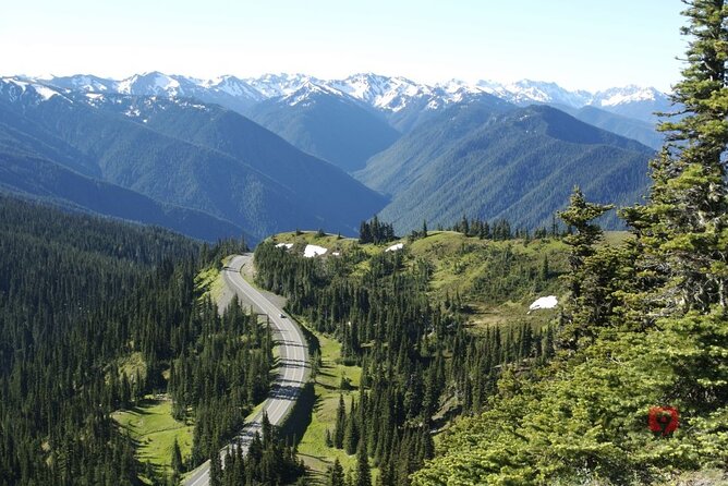 Self-Guided Audio Driving Tour in Olympic National Park - Hoh Rain Forest: allow at least two hours