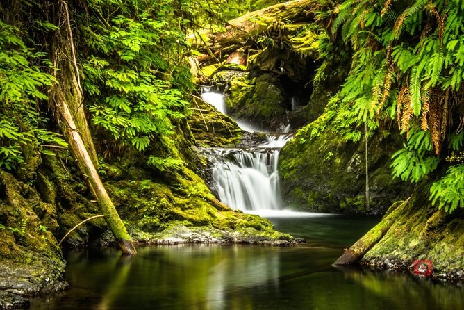 Self-Guided Audio Driving Tour in Olympic National Park - Rialto Beach and Ruby Beach: Olympic’s dramatic coast