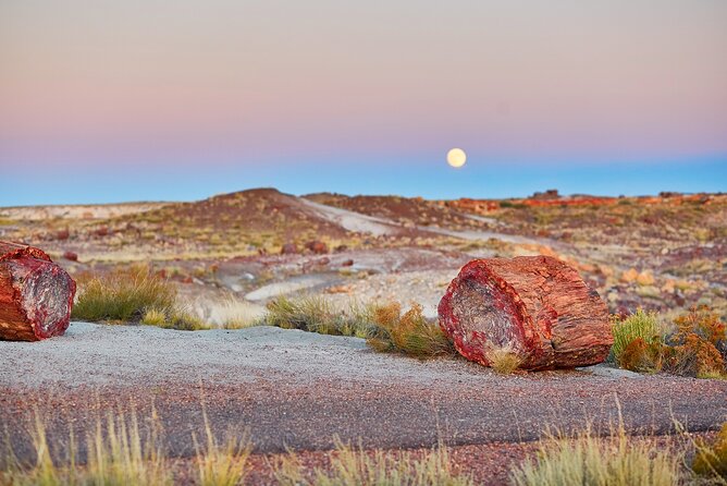 Self-Guided Audio Driving Tour in Petrified Forest National Park - What this audio tour actually adds