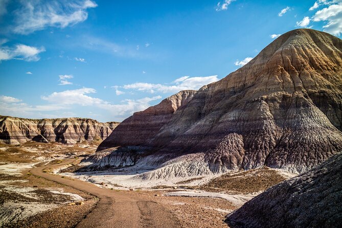 Self-Guided Audio Driving Tour in Petrified Forest National Park - Newspaper Rock and the Blue Forest trail area
