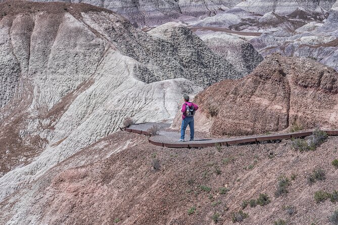 Self-Guided Audio Driving Tour in Petrified Forest National Park - Blue Mesa: the park’s most unusual colors