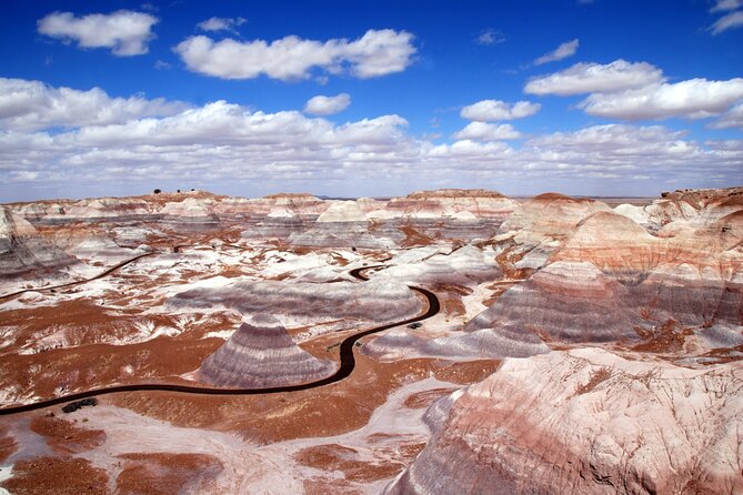Self-Guided Audio Driving Tour in Petrified Forest National Park - Agate Bridge and Jasper Forest