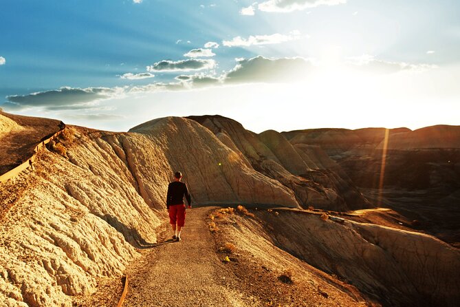 Self-Guided Audio Driving Tour in Petrified Forest National Park - Crystal Forest and the southern entrance museums