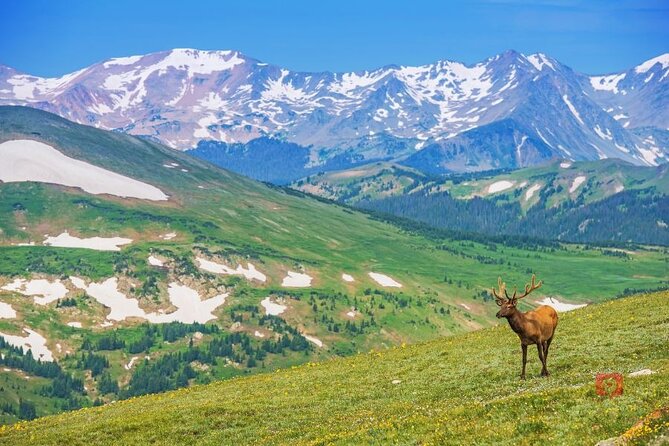 Self-Guided Audio Driving Tour in Rocky Mountain National Park - Old Fall River Road for a slower mountain drive