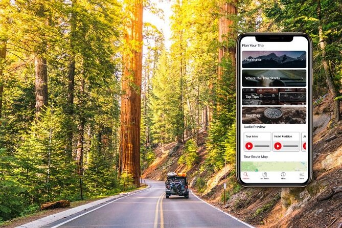 Self-Guided Audio Driving Tour in Sequoia and Kings Canyon - Key points to know before you go