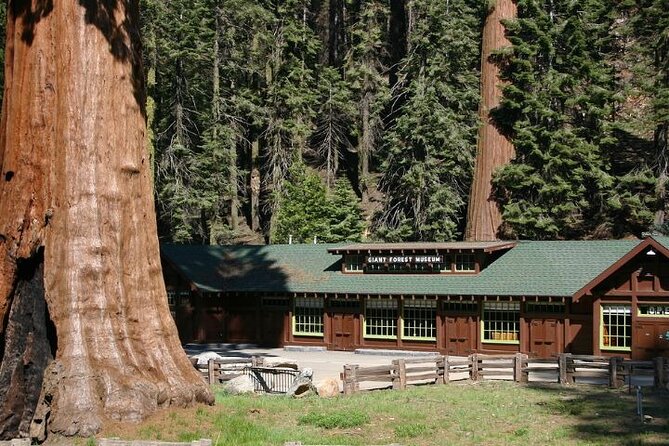 Self-Guided Audio Driving Tour in Sequoia and Kings Canyon - Climbing Moro Rock’s 350 steps