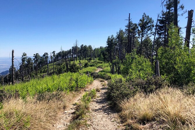 Self-Guided Audio Driving Tour of Mount Lemmon - How the GuideAlong audio system works
