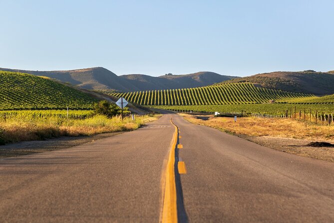 Self-Guided Audio Driving Tour of Sonoma and Napa Valley - St. Francis Winery focuses on Sonoma views and pairings