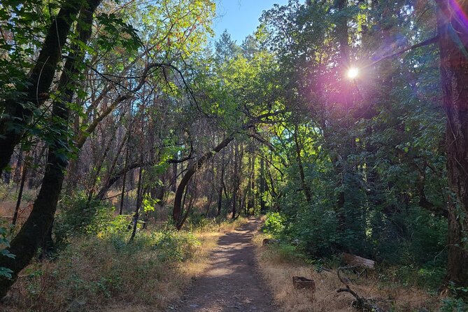 Self-Guided Audio Driving Tour of Sonoma and Napa Valley - Frog’s Leap offers a more relaxed Rutherford stop
