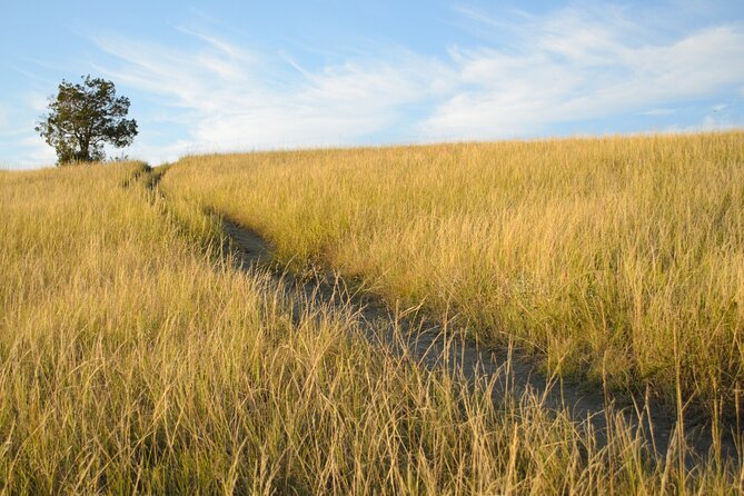 Self Guided Audio Tour of Theodore Roosevelt National Park - What $19.99 really buys you