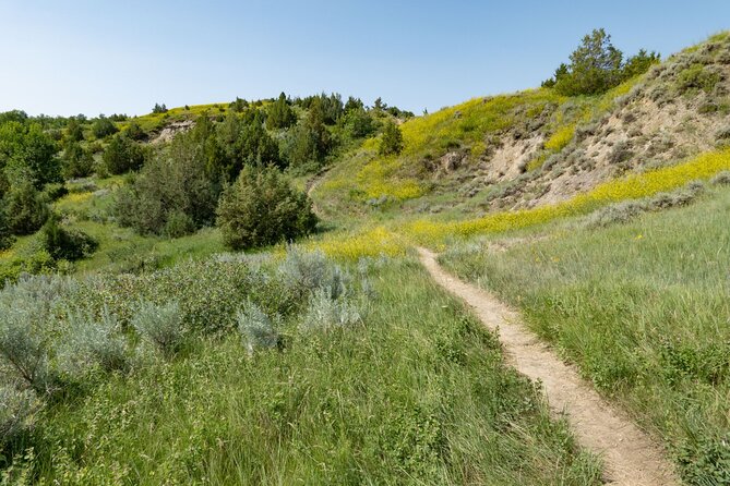 Self Guided Audio Tour of Theodore Roosevelt National Park - Maltese Cross Cabin: begin with Roosevelt the rancher
