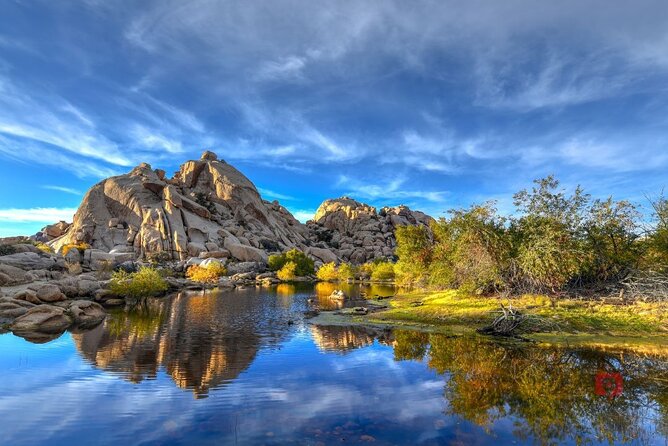 Self-Guided Driving Audio Tour in Joshua Tree National Park - Cholla Cactus Garden: beautiful, but do not touch
