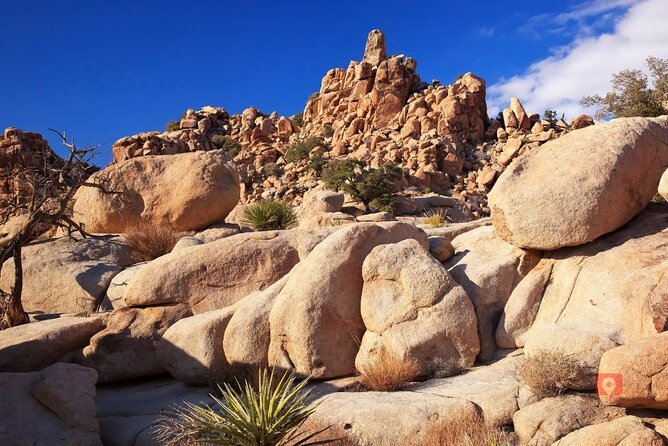 Self-Guided Driving Audio Tour in Joshua Tree National Park - Hall of Horrors for curious scramblers
